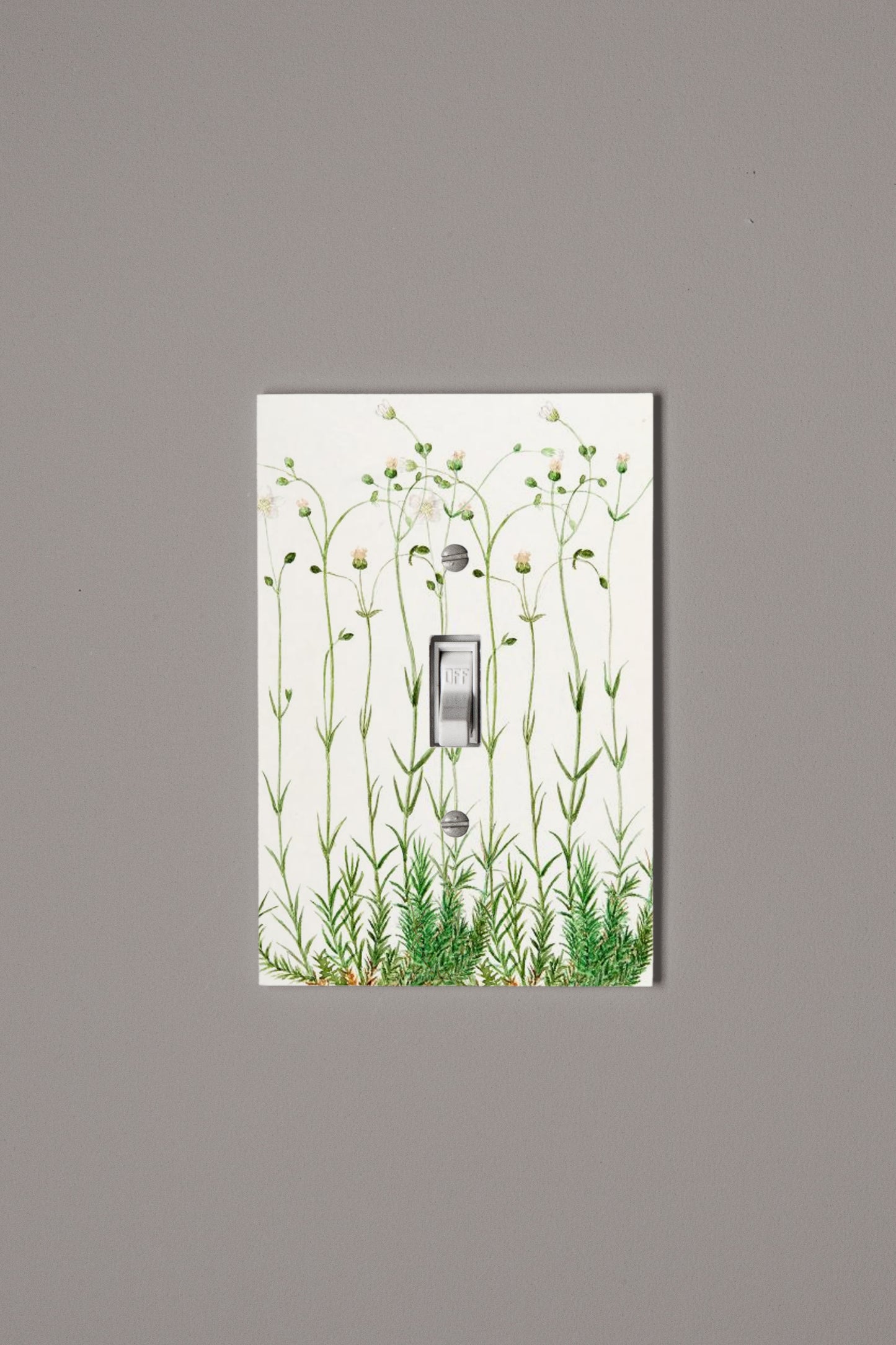 Sweet Little Garden Switch Plate Cover