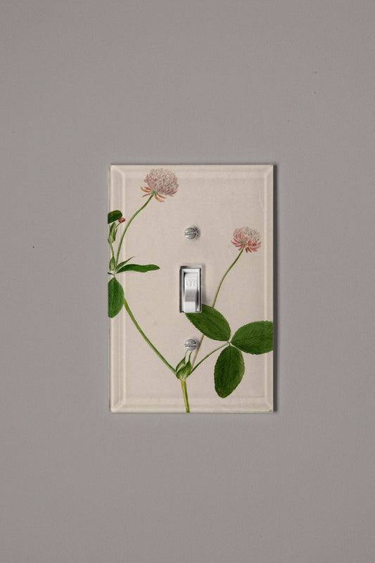 Light Chiffon Switch Plate Cover